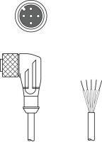 Anschlussleitung KD U-M12-5W#50133849
