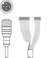 Verbindungsleitung K-DS M12A-M#50115049