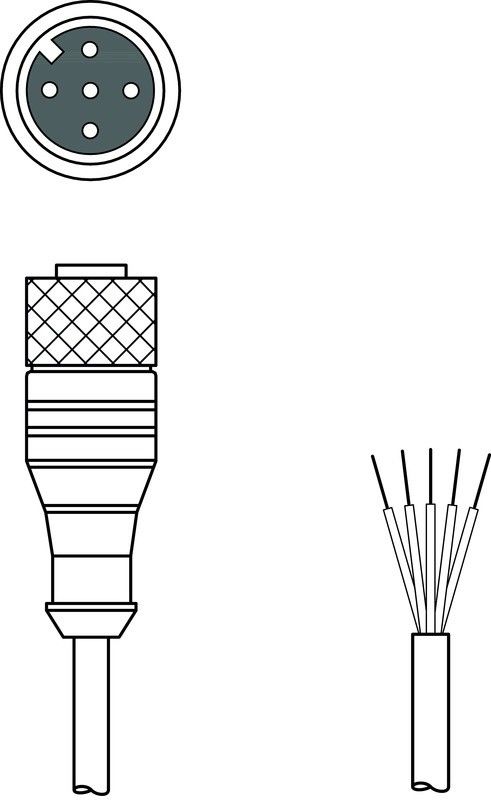 Anschlussleitung CB-M12-25000-5GF Anschlussleitung CB-M12-25000-5GF