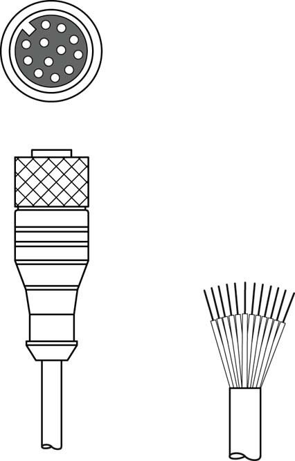 Anschlussleitung KD U-M12-CA-P1-100 Anschlussleitung KD U-M12-CA-P1-100