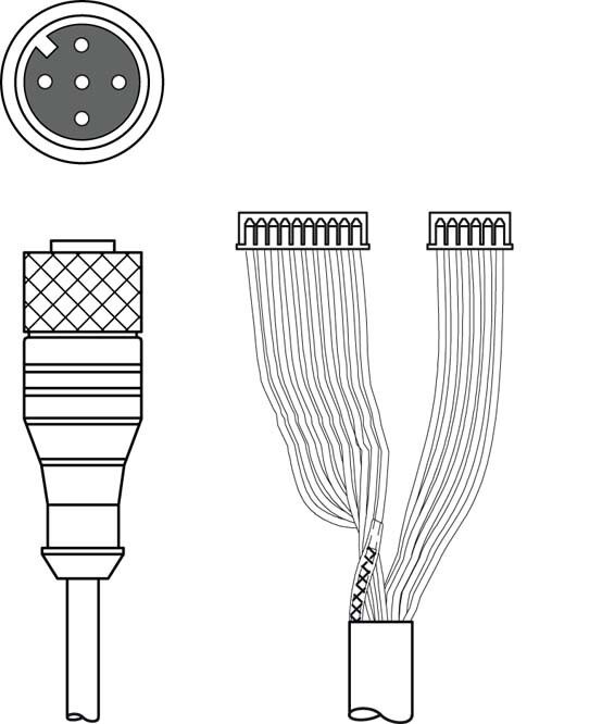 Verbindungsleitung K-DS M12A-M#50115049 Verbindungsleitung K-DS M12A-M#50115049