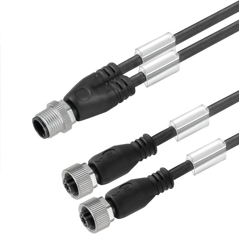Verbindungsleitung SAIL-ZW-M12BG-3-1.5V