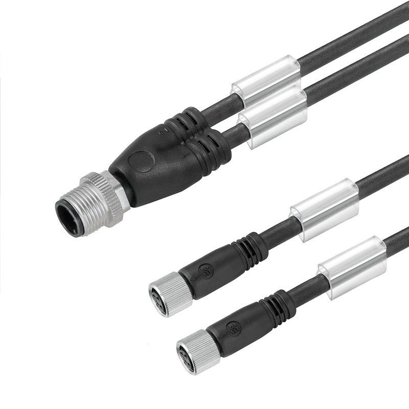 Zubehör SAI Leitung SAIL-ZW-M8BG-3-2.0U