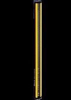 Sicherheitslichtvorhang C4P-EG06011C00