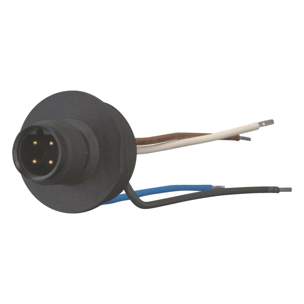 Anschlußbuchse 5polig M12A5