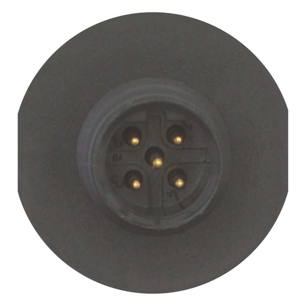 Anschlußbuchse 5polig M12B5