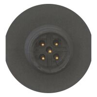 Anschlußbuchse 5polig M12B5