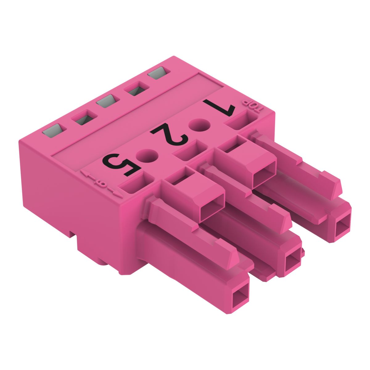 Buchse 3-polig 770-283/081-000