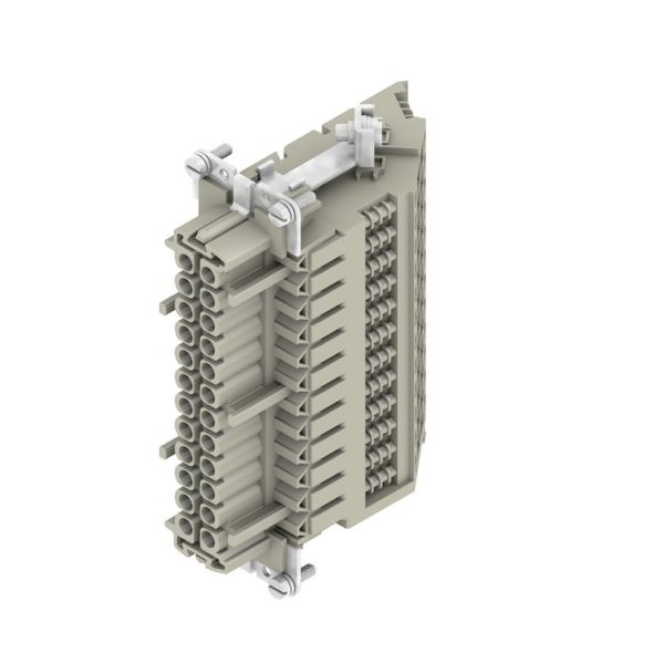 Buchseneinsatz DSTV HE BL24 S