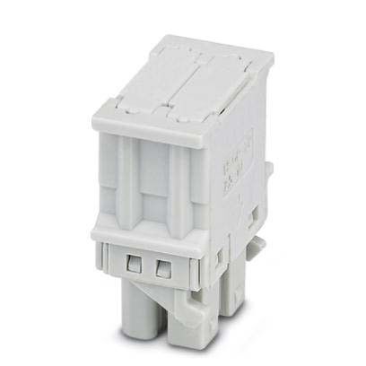 Blindstopfen 2202610