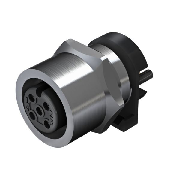 Stecker SAIE-M12B-4S-F5.5TL Stecker SAIE-M12B-4S-F5.5TL