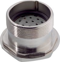 202060AA+40200126 00009894