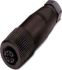 Sensor-/Aktor-Stecker SACC-M12FS-4CON-PG7