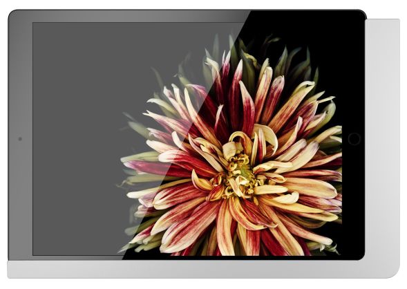 iPad Wandhalterung 510170