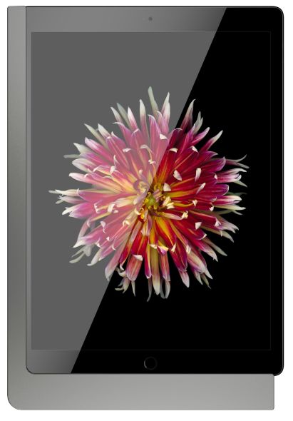 iPad Wandhalterung 510181PD iPad Wandhalterung 510181PD