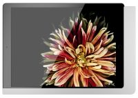 iPad Wandhalterung 510170LAN