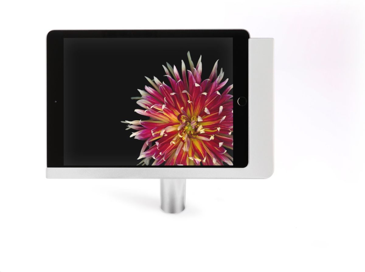iPad Tischständer 371220 iPad Tischständer 371220