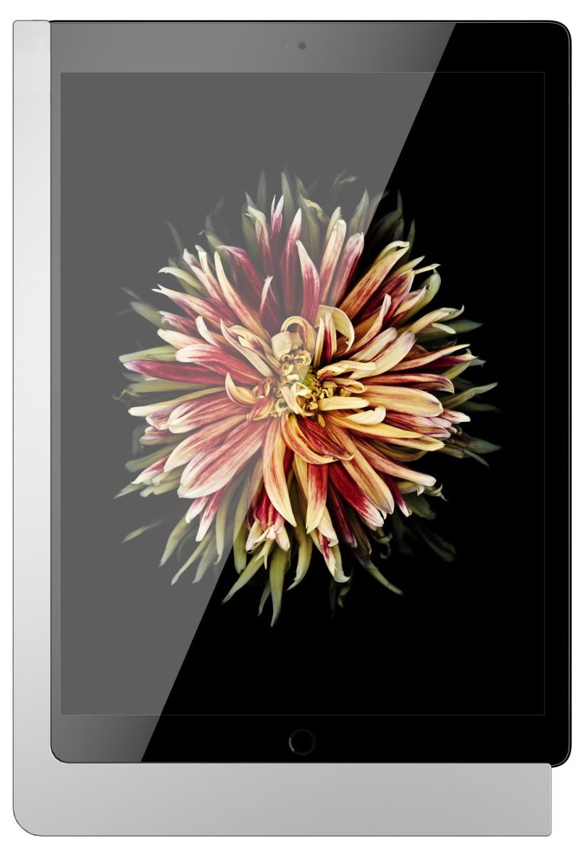 iPad Wandhalterung 510170