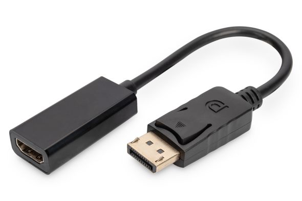 DisplayPort Adapterkabel AK-340400-001-S DisplayPort Adapterkabel AK-340400-001-S
