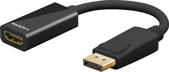 DisplayPort/HDMI-Kabel 67881