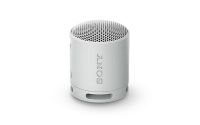 Bluetooth-Lautsprecher SRSXB100H.CE7