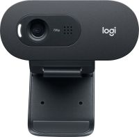 Webcam USB LOGITECH C505e