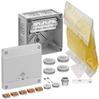 Abzweigkasten Abox Pro XT SL-4²
