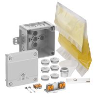 Abzweigkasten Abox Pro XT SLK-2,5²