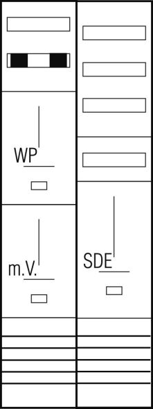 Komplett-Zählerplatz Z29D424N Komplett-Zählerplatz Z29D424N