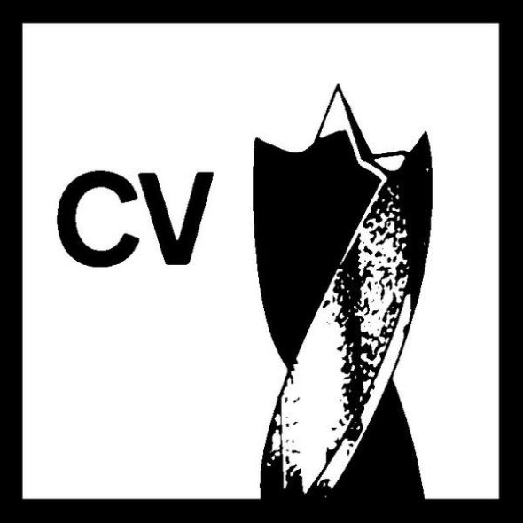 Holzspiralbohrer 2608596305