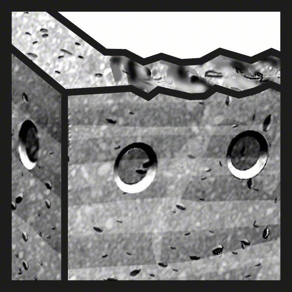 Bohrkrone SDS max-9 F00Y145200