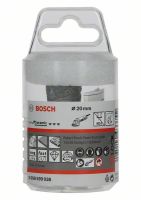 Fräskopf X-Lock 2608599038