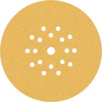 EXPERT C470 Schleifpapier 2608901672 (VE5)