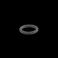 O-Ring E30438
