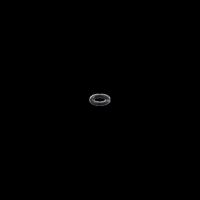 O-Ring E43339