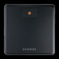 RFID Auswerteeinheit DTE939