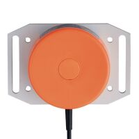Sensor I17004