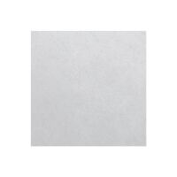 Ersatz-Luftfilter ELF-DLVZ 100 (VE3)