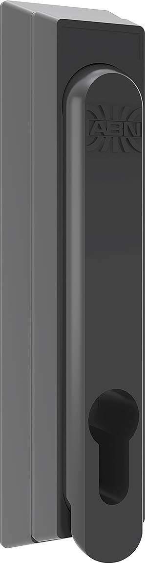 Schwenkhebel FZ12N10 (VE10)