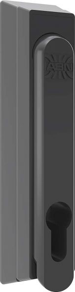 Schwenkhebel FZ12N10 (VE10)