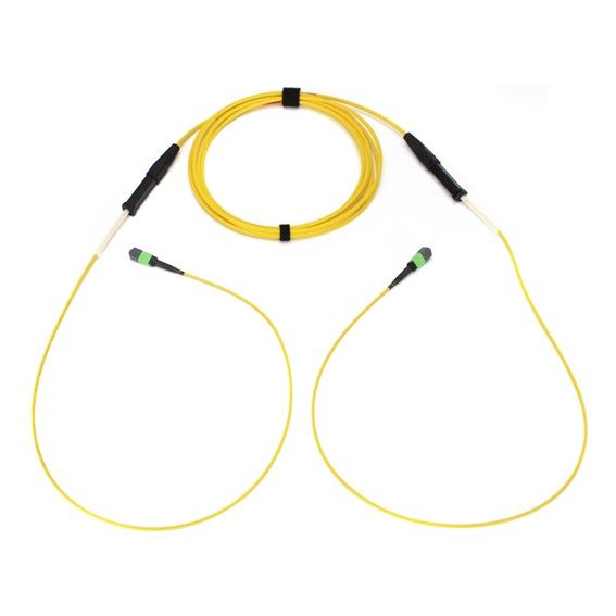 Stammkabel 96FasernOS2 50m G909096GLZ88U050M Stammkabel 96FasernOS2 50m G909096GLZ88U050M