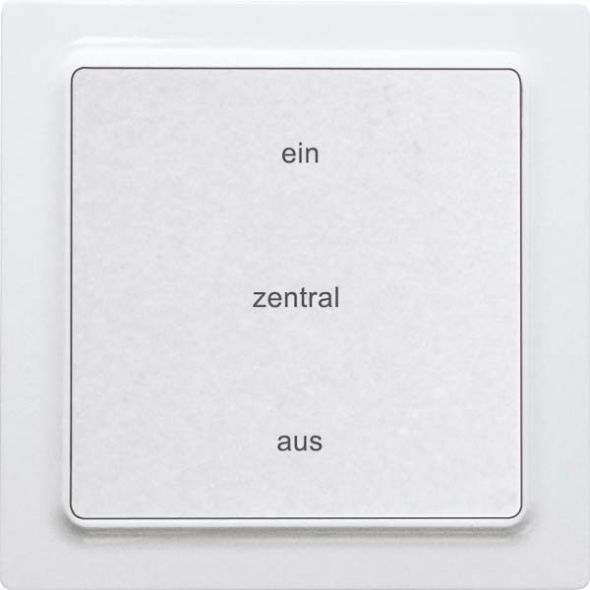Funk-2-K.-Zentralst.taster F2ZT55E-wg Funk-2-K.-Zentralst.taster F2ZT55E-wg