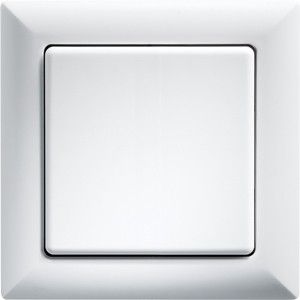 Wippschalter WS55-rw Wippschalter WS55-rw