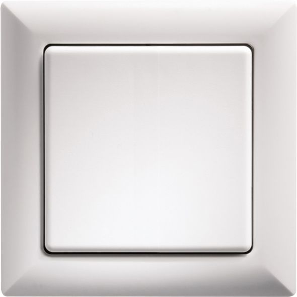Wippschalter WS55-wg Wippschalter WS55-wg
