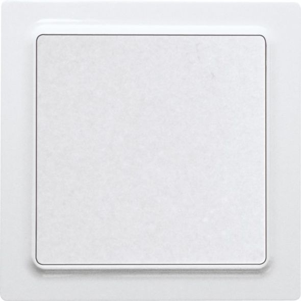 Wippschalter WS55E-wg Wippschalter WS55E-wg