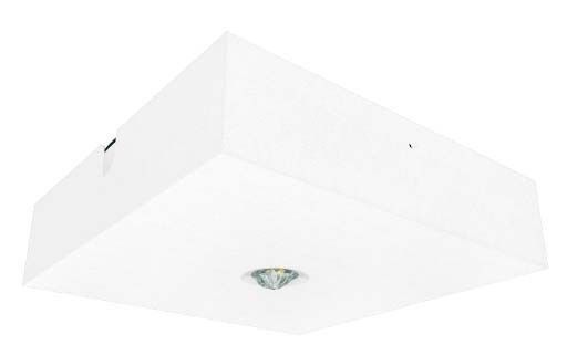 LED-Sicherheitsleuchte BQD319AT3 LED-Sicherheitsleuchte BQD319AT3