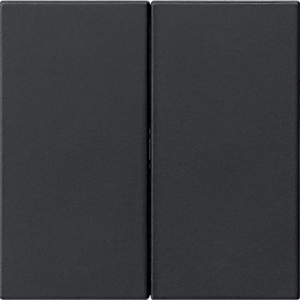 Wippe 2-fach 5370005