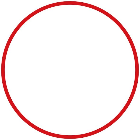 eLock Dichtungsring eLock DR-ROT eLock Dichtungsring eLock DR-ROT