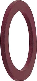 Dichtungsscheibe AFWS-PG13 VF RD 100