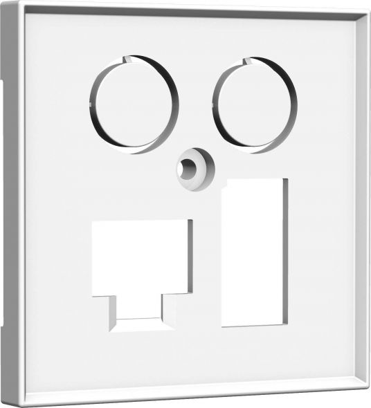 Zentralplatte TV + LAN/TAE HW-ZLTANM55V1 Zentralplatte TV + LAN/TAE HW-ZLTANM55V1